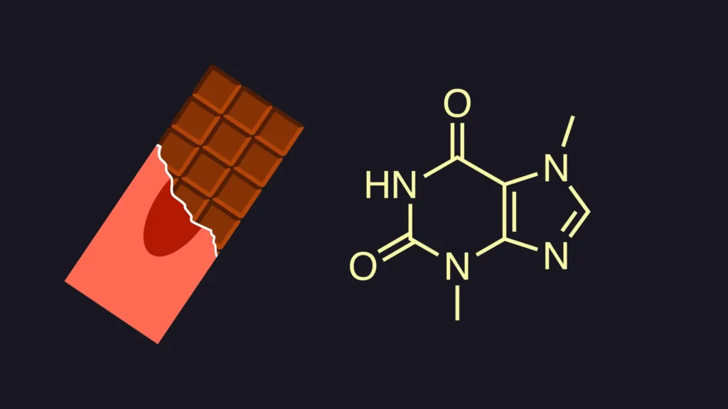 théobromine Pourquoi le chocolat est-il dangereux pour les chiens
