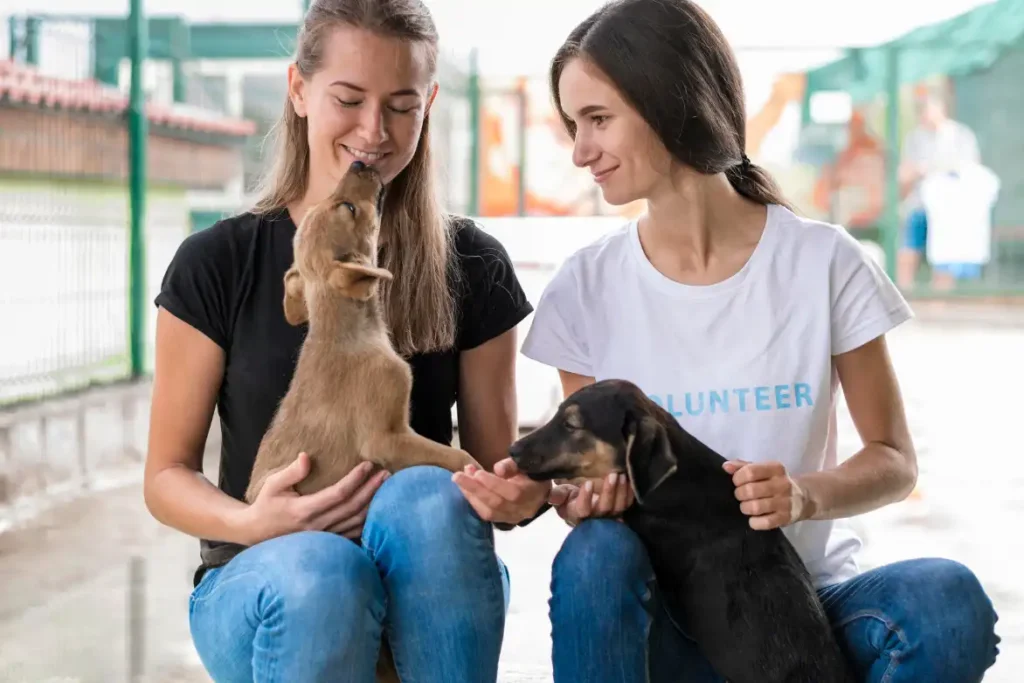 blog pour apprendre la communication avec les animaux