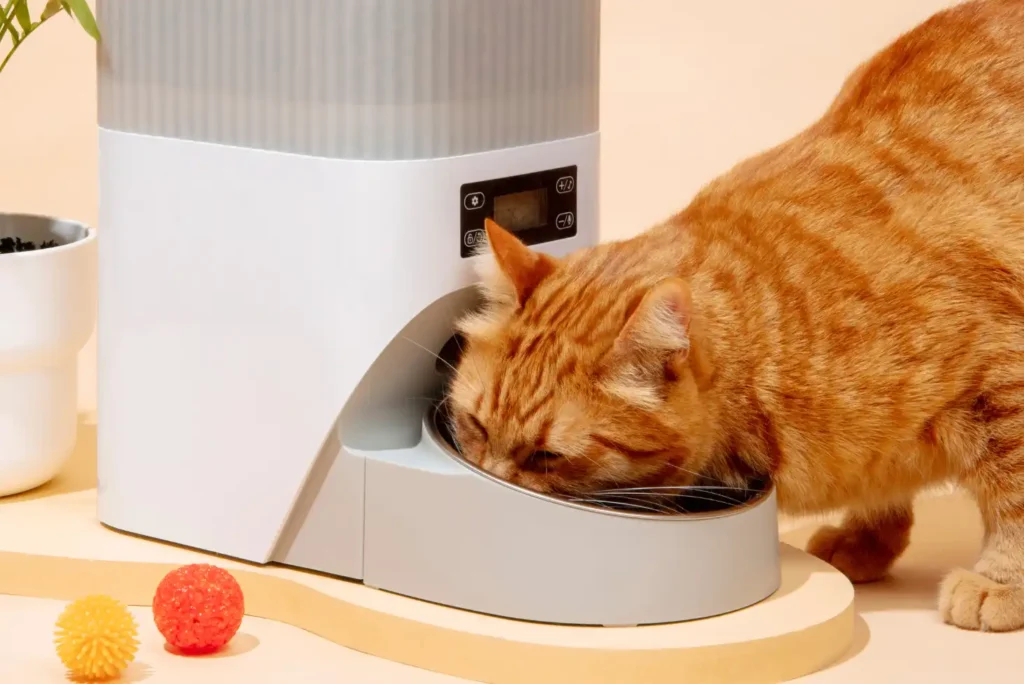 meilleurs distributeurs de croquettes automatiques pour chats